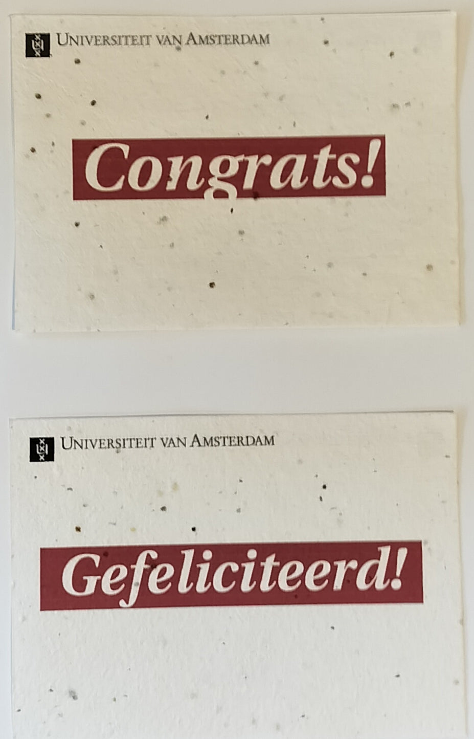 Postcards from the University of Amsterdam