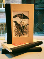 ALLARD PIERSON Notebook
