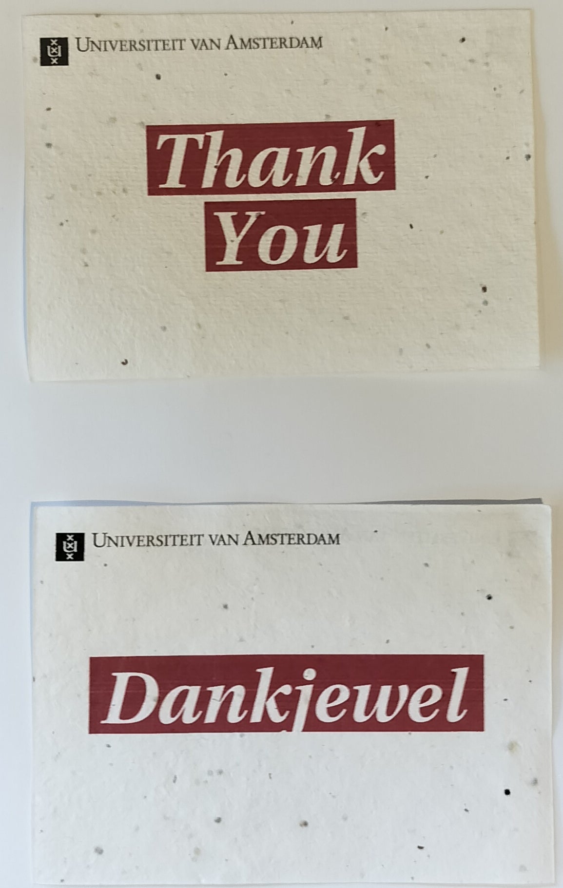 Postcards from the University of Amsterdam